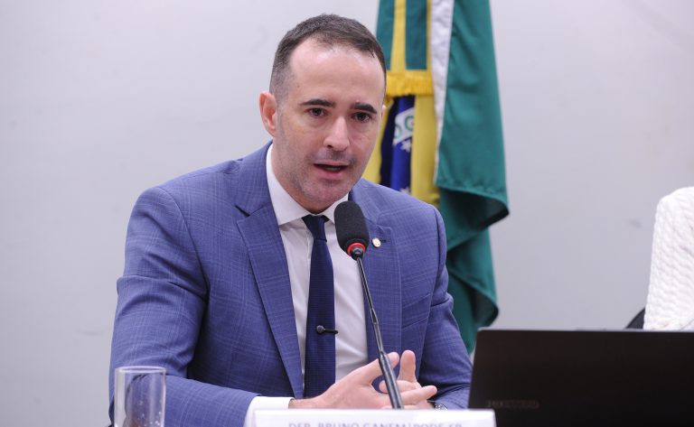 Renato Araújo / Câmara dos Deputados Fonte: Agência Câmara de Notícias